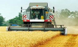 Стратегия развития зернового  комплекса России