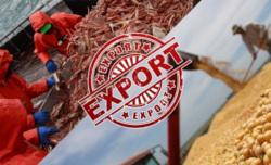 Экспорт сельскохозяйственной продукции
