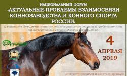 Актуальные проблемы взаимосвязи коннозаводства и конного спорта в России
