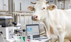 «Вспомогательные репродуктивные технологии в животноводстве. Получение эмбрионов in vitro, эмбриологические аспекты»