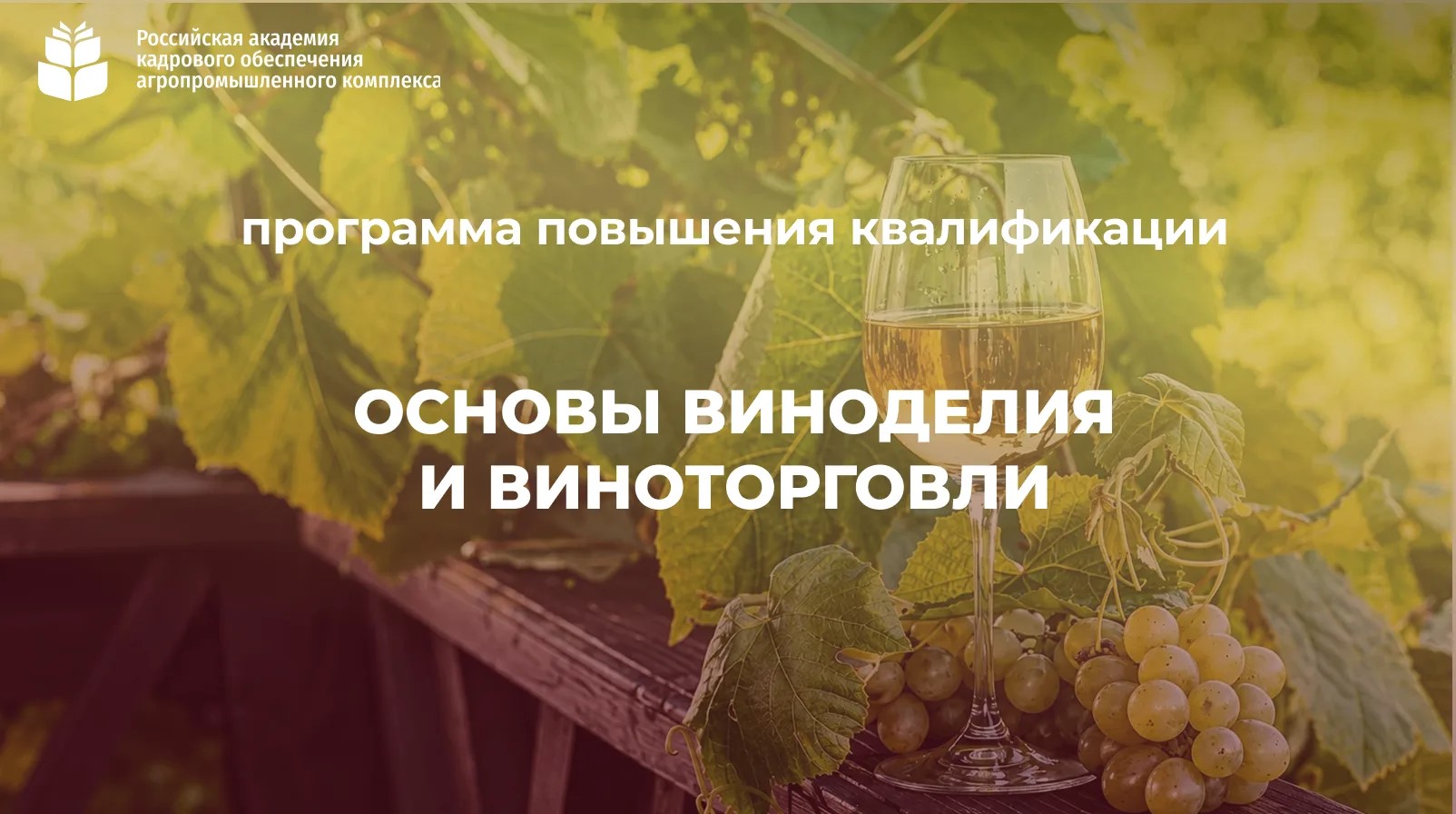 Основы виноделия и виноторговли