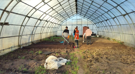 Продолжаются практические занятия у участников студенческих сельскохозяйственных отрядов Санкт-Петербурга по программе профессионального обучения «Овощевод»