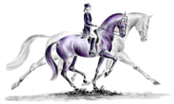 Тренинг лошадей, подготовка всадников
