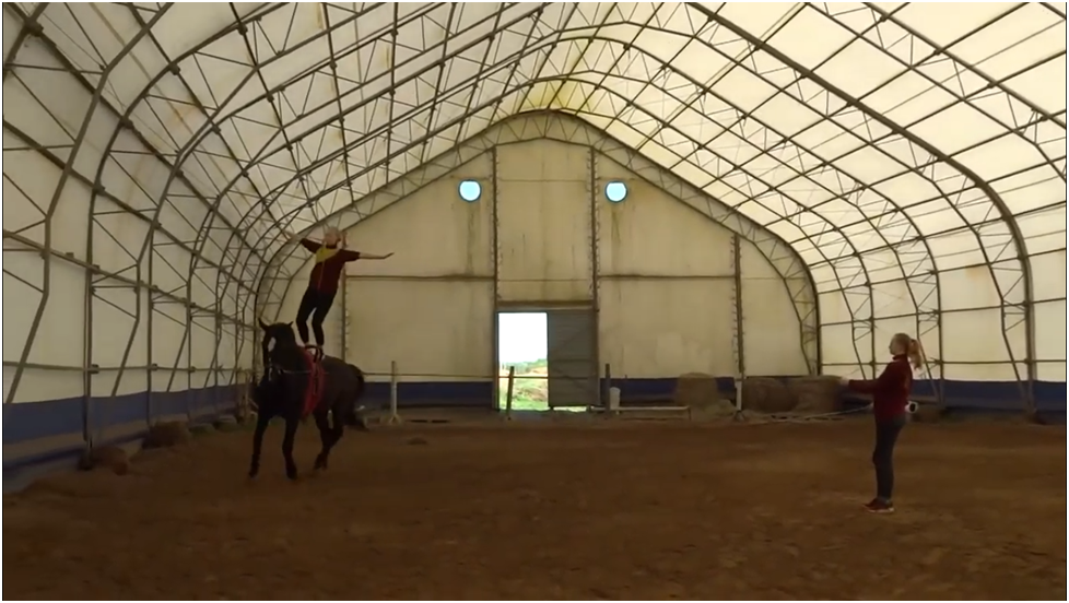 Обучение по программе: «Подготовка лошади и спортсмена в вольтижировке»