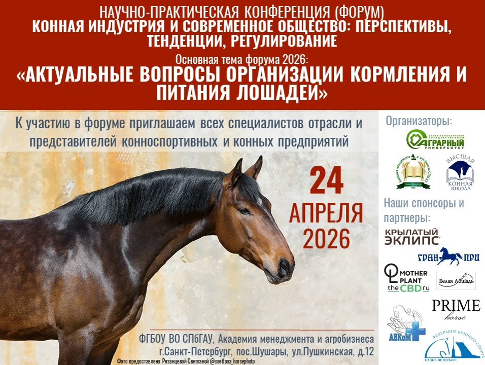 В Санкт-Петербурге прошла международная конференция по вопросам здоровья лошадей
