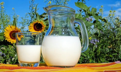 Актуальные вопросы производства молока в крупных, средних и малых предприятиях