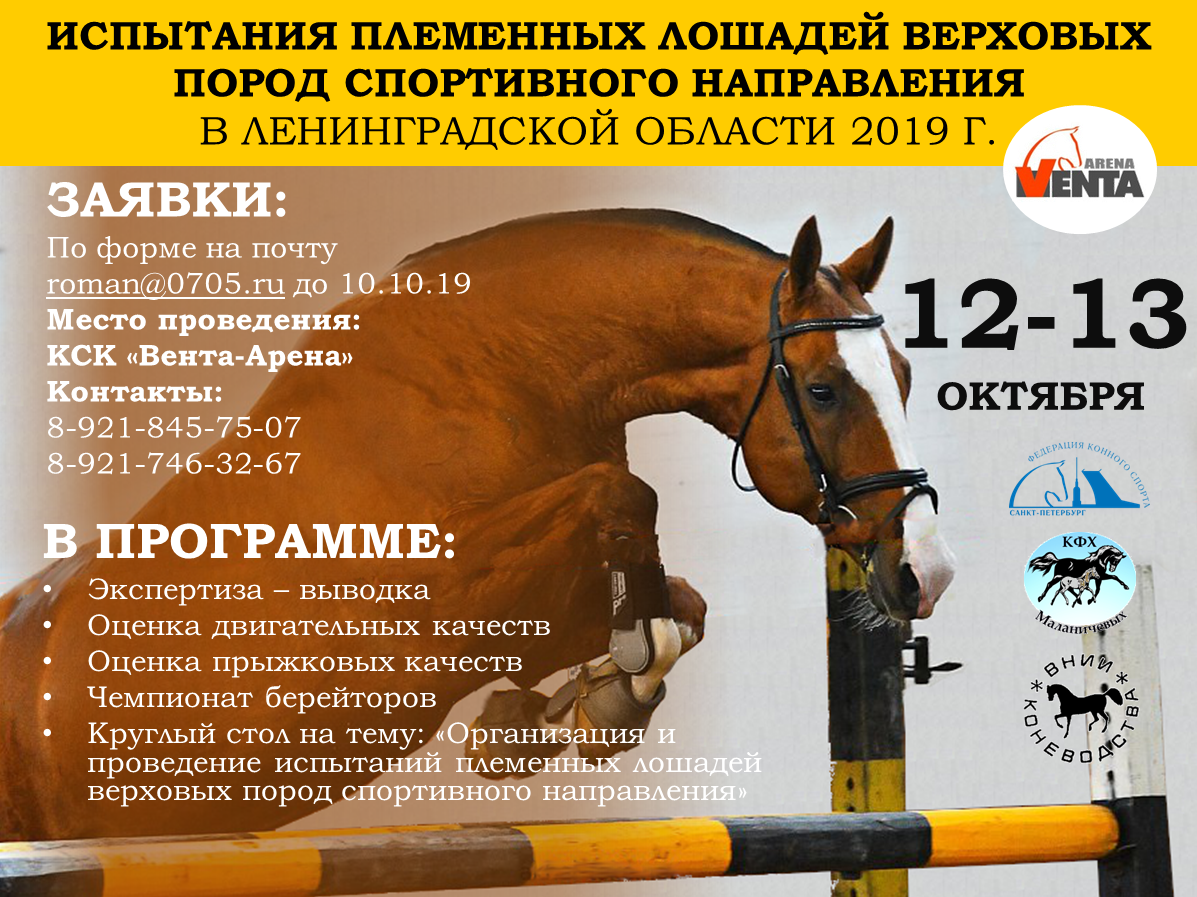Приглашаем на испытания племенных лошадей верховых пород спортивного направления в Ленинградской области 2019г