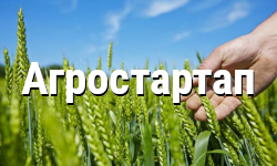Начался прием заявлений на участие в конкурсе «Агростартап»