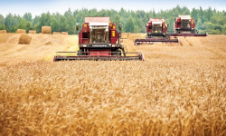Стимулирование зерновой отрасли АПК