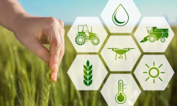 Новые ФГИС в сельском хозяйстве требует учета затрат и выхода продукции по каждому закрепленному земельному участку (полю)