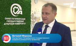 Как стать дипломированным сыроделом в Школе фермера