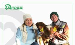 В России родились первые телята, полученные из эмбрионов in vitro post mortem от ценных племенных коров