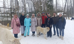 Лесная сказка о Белоснежке и гномах ожила прямо в Ленинградской области в деревне Шадырицы!
