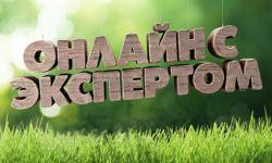 Руководитель предупрежден, значит вооружен. Как не попасть в типичную провальную схему?