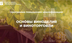 Основы виноделия и виноторговли